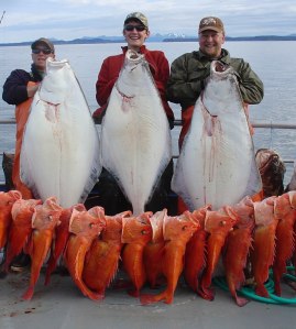 Kodiak Alaska Halibut Fishing